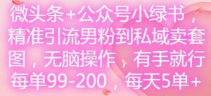 微头条+公众号小绿书,精准引流男粉到私域卖套图,无脑操作,有手就行,每单99-200,每天5单-柯南聊项目