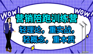 营销陪跑训练营，轻理论，重实战，轻概念，重本质，适合中小企业和初创企业的老板-柯南聊项目