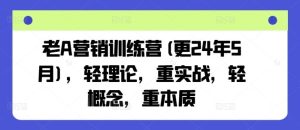 老A营销训练营(更24年7月),轻理论,重实战,轻概念,重本质-柯南聊项目