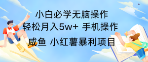全网首发2024最暴利手机操作项目,简单无脑操作,每单利润最少500+-柯南聊项目
