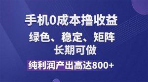 （11976期）纯利润高达800+，手机0成本撸羊毛，项目纯绿色，可稳定长期操作！-柯南聊项目