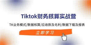 （11978期）Tiktok财务核算实战营：TK业务模式/数据核算/应收款及毛利/数据下载及报表-柯南聊项目