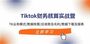 Tiktok财务核算实战营：TK业务模式/数据核算/应收款及毛利/数据下载及报表-柯南聊项目