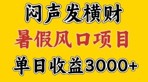 30天赚了7.5W 暑假风口项目,比较好学,2天左右上手-柯南聊项目