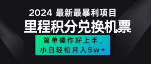 （12016期）2024最新里程积分兑换机票，手机操作小白轻松月入5万++-柯南聊项目