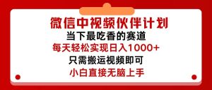 （12017期）微信中视频伙伴计划，仅靠搬运就能轻松实现日入500+，关键操作还简单，…-柯南聊项目
