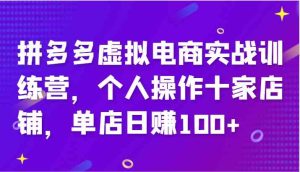 拼多多虚拟电商实战训练营，个人操作十家店铺，单店日赚100+-柯南聊项目