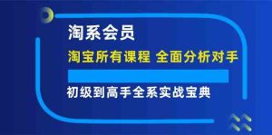 淘系会员初级到高手全系实战宝典【淘宝所有课程，全面分析对手】-柯南聊项目