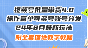 （12093期）24年8月最新玩法视频号批量带货4.0，操作简单可多号账号分发，附全套落…-柯南聊项目