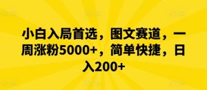 小白入局首选，图文赛道，一周涨粉5000+，简单快捷，日入200+-柯南聊项目