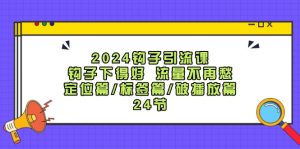 2024钩子引流课：钩子下得好流量不再愁，定位篇/标签篇/破播放篇/24节-柯南聊项目