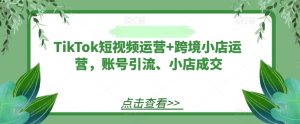 TikTok短视频运营+跨境小店运营,账号引流、小店成交-柯南聊项目