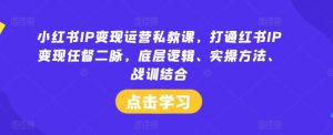 小红书IP变现运营私教课，打通红书IP变现任督二脉，底层逻辑、实操方法、战训结合-柯南聊项目