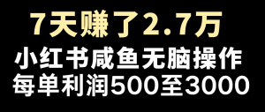 七天赚了2.7万！每单利润最少500+，轻松月入5万+小白有手就行-柯南聊项目