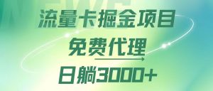 （12321期）流量卡掘金代理，日躺赚3000+，变现暴力，多种推广途径-柯南聊项目