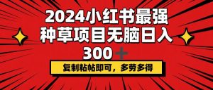 （12336期）2024小红书最强种草项目，无脑日入300+，复制粘帖即可，多劳多得-柯南聊项目