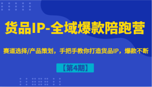 货品IP-全域爆款陪跑营【第4期】赛道选择/产品策划，手把手教你打造货品IP，爆款不断-柯南聊项目