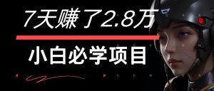 7天赚了2.8万！每单利润最少500+，轻松月入7万+小白有手就行-柯南聊项目