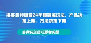 拼多多特训营24年爆破流玩法，产品决定上限，方法决定下限，各种玩法技巧落地实操-柯南聊项目