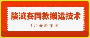 抖音96万粉丝账号【嫠㵄㚣】同款搬运技术-柯南聊项目
