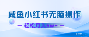 2024赚钱的项目之一，轻松月入6万+，最新可变现项目-柯南聊项目