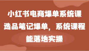 小红书电商爆单系统课-选品笔记爆单，系统课程，能落地实操-柯南聊项目