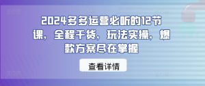 2024多多运营必听的12节课，全程干货，玩法实操，爆款方案尽在掌握-柯南聊项目