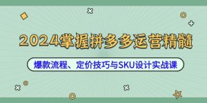 2024掌握拼多多运营精髓：爆款流程、定价技巧与SKU设计实战课-柯南聊项目