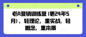老A营销训练营(更24年9月)，轻理论，重实战，轻概念，重本质-柯南聊项目