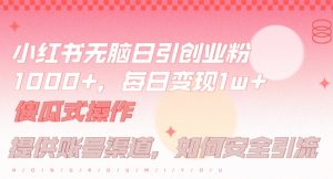 小红书无脑每日引流创业粉500+，小白每天只花半小时，躺赚长尾收益【揭秘】-柯南聊项目