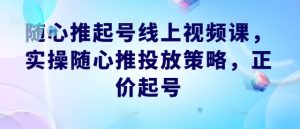随心推起号线上视频课，实操随心推投放策略，正价起号-柯南聊项目