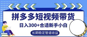 拼多多短视频带货日入300+，实操账户展示看就能学会-柯南聊项目