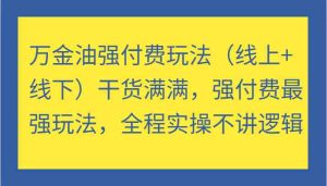 万金油强付费玩法（线上+线下）干货满满，强付费最强玩法，全程实操不讲逻辑-柯南聊项目