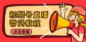 视频号直播带货教程：选品思路与话术拆解/掌握多种带货套路/提升直播效果-柯南聊项目