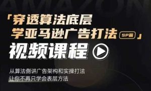 穿透算法底层,学亚马逊广告打法SP篇,从算法侧讲广告架构和实操打法,让你不再只学会表层方法-柯南聊项目