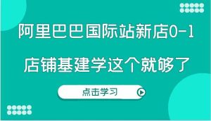阿里巴巴国际站新店0-1，个人实践实操录制从0-1基建，店铺基建学这个就够了-柯南聊项目