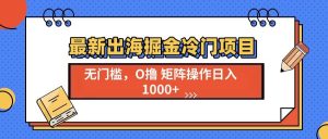 （13672期）最新出海掘金冷门项目，单号日入1000+-柯南聊项目