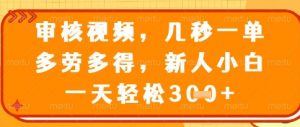 视频审核员，几秒一单，不限时间，不限地点，多做多得，新人小白一天轻松几张+【揭秘】-柯南聊项目