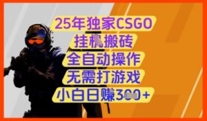 25年独家CSGO挂G搬砖，全自动操作，无需打游戏，小白日入3张+【揭秘】-柯南聊项目
