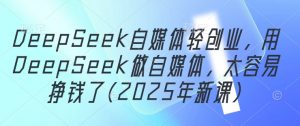 DeepSeek自媒体轻创业，用DeepSeek做自媒体，太容易挣钱了(2025年新课)-柯南聊项目