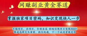 网创副业黄全赛道，掌握独家项目密码，知识变现快人一步，告别韭菜轻松实现单日变现1k+【揭秘】-柯南聊项目