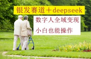 银发赛道+deepseek数字人全域变现，小白也能操作-柯南聊项目