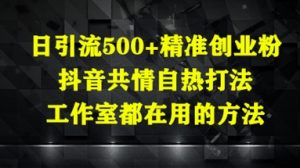 日引流500+精准创业粉，抖音共情自热打法，工作室都在用的方法-柯南聊项目