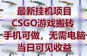 最新挂G项目，CSGO游戏搬砖，手机可做，无需电脑，当日见收益【揭秘】-柯南聊项目