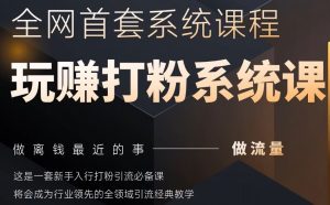 2025行业首套全网全域打粉系统神课，做流量做离钱最近的事，一套新手入行打粉引流必备课-柯南聊项目