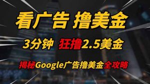 看广告，撸美金！！3分钟赚2.5美金！！日入200美金不是梦！揭秘Google…-柯南聊项目
