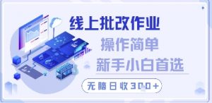 线上批改作业，操作简单新手小白首选，无脑日收300+【揭秘】-柯南聊项目