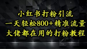小红书打粉引流，一天轻松500+精准流量，大佬都在用的打粉教程-柯南聊项目