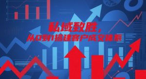 私域致胜，从0到1搭建客户成交体系-柯南聊项目