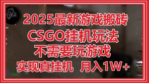 2025最新游戏搬砖，CSGO挂机，不需要玩游戏，实现真挂机，月入1W+-柯南聊项目